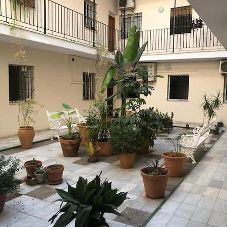Sevilla San Bernardo Apartamento Zewnętrze zdjęcie