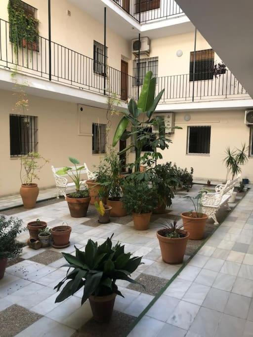 Sevilla San Bernardo Apartamento Zewnętrze zdjęcie